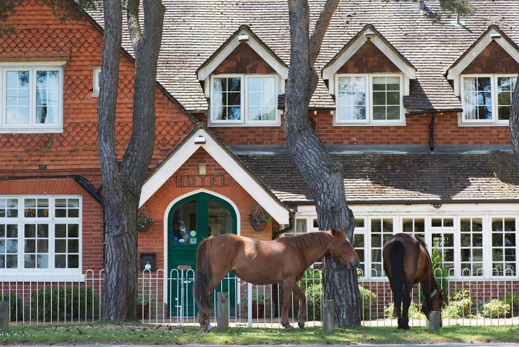 Beaulieu Hotel Lyndhurst